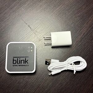 Blink Sync Module 2